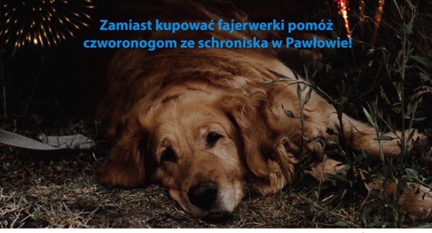 fot. UM