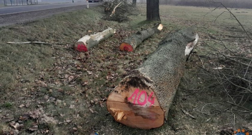 fot. CiechanówInaczej.pl