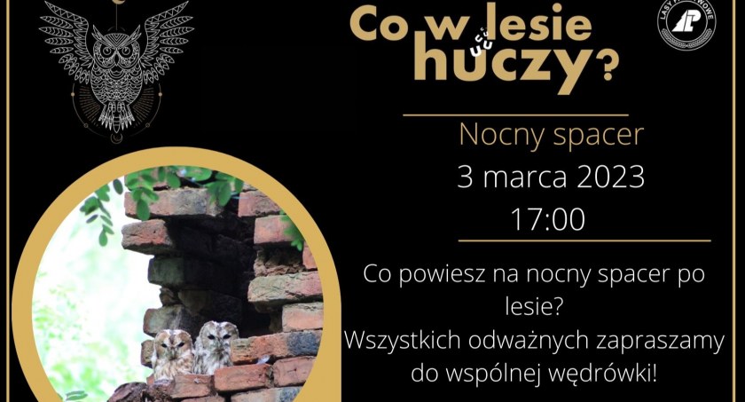 fot. Nadleśnictwo Ciechanów