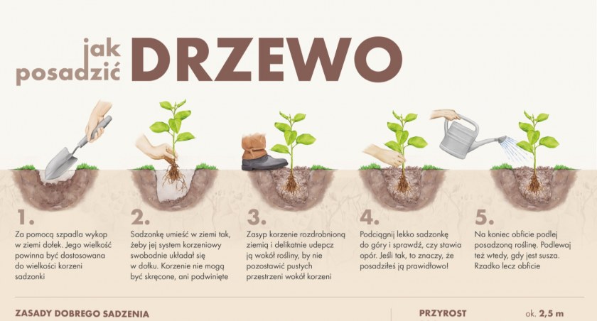 fot. Nadleśnictwo Ciechanów