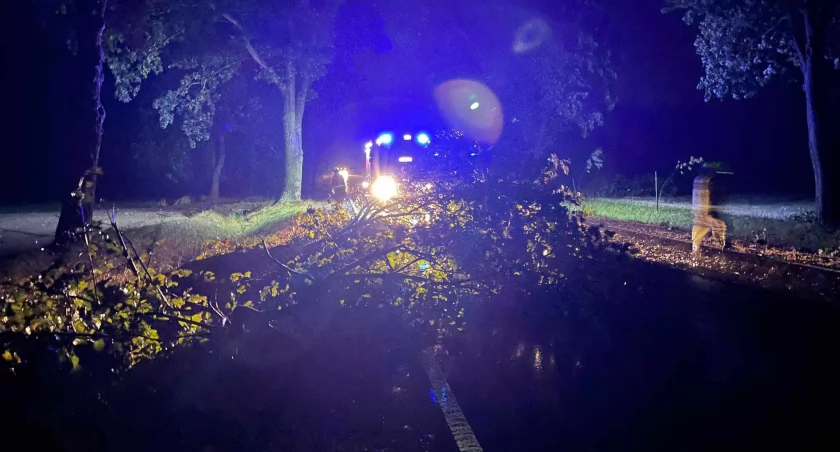 fot. OSP Glinojeck/OSP Modła/OSP Szyjki/OSP Sarnowa Góra