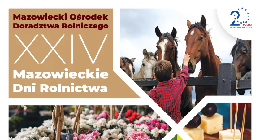 plakat MODR w Poświętnem