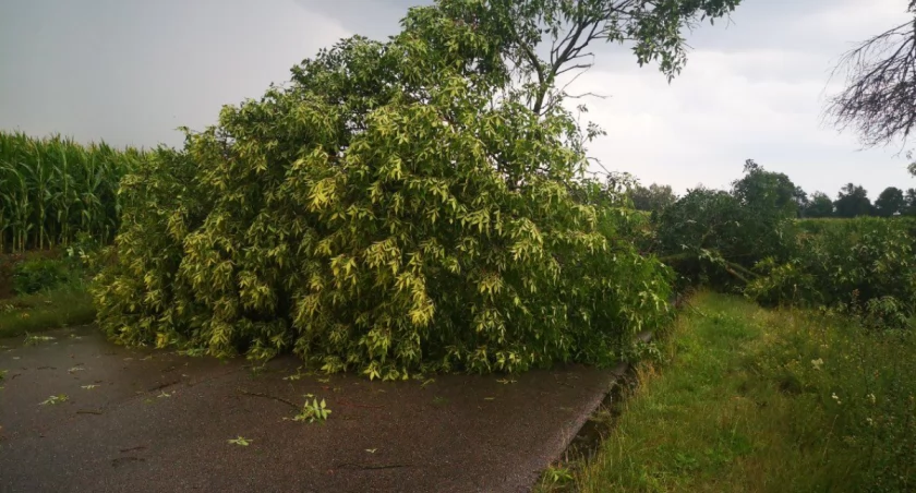 fot. CiechanowInaczej/OSP Sarnowa Góra