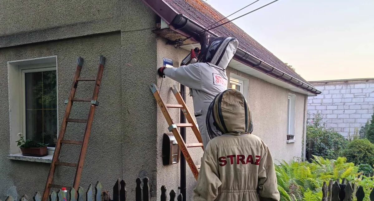 fot. OSP w Sońsku