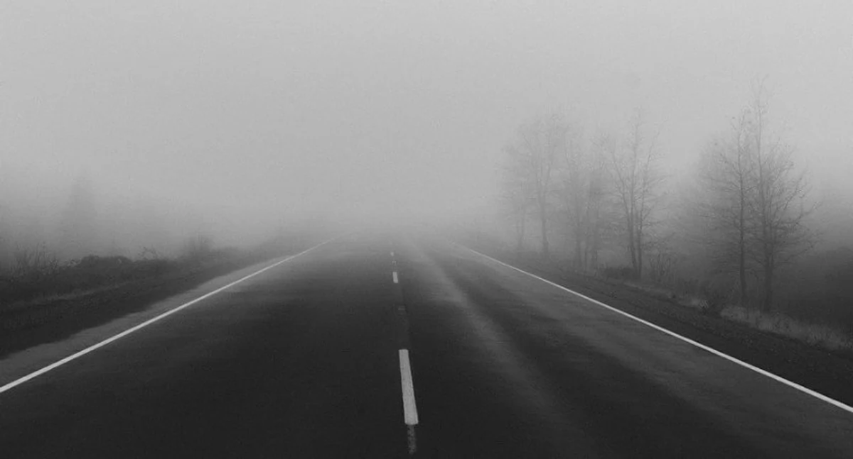 fot. pixabay
