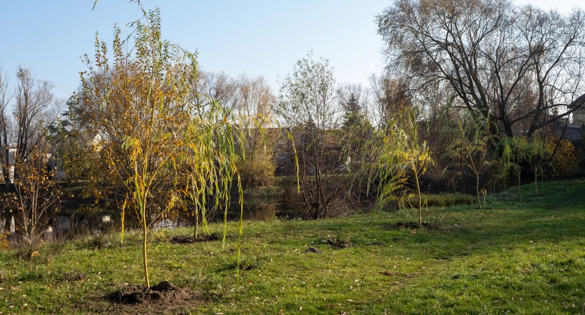 fot. Urząd Miasta Ciechanów