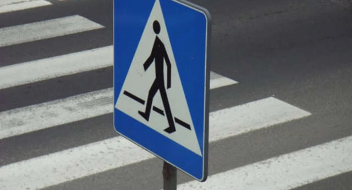 fot. policja.pl