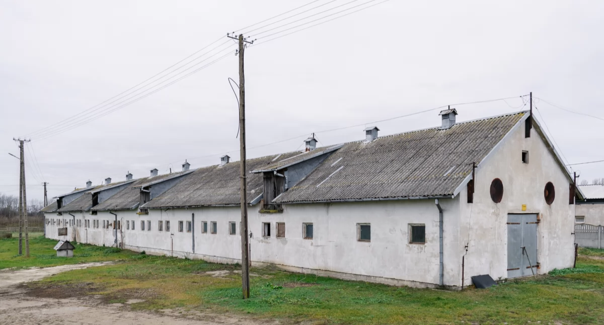 fot. Urząd Gminy Ciechanów