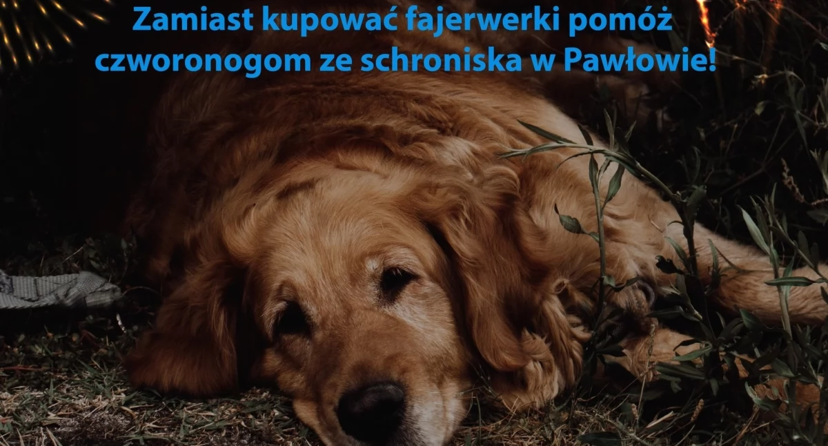 fot. Urząd Miasta Ciechanów