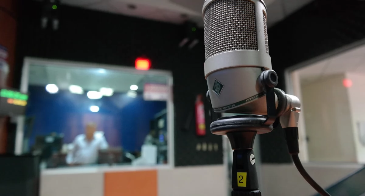 fot. pixabay/krdp.fm