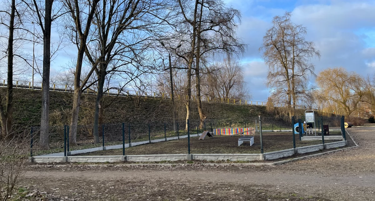 Wybieg dla psów zrealizowany z budżetu obywatelskiego w Parku im. Marii Konopnickiej w Ciechanowie.