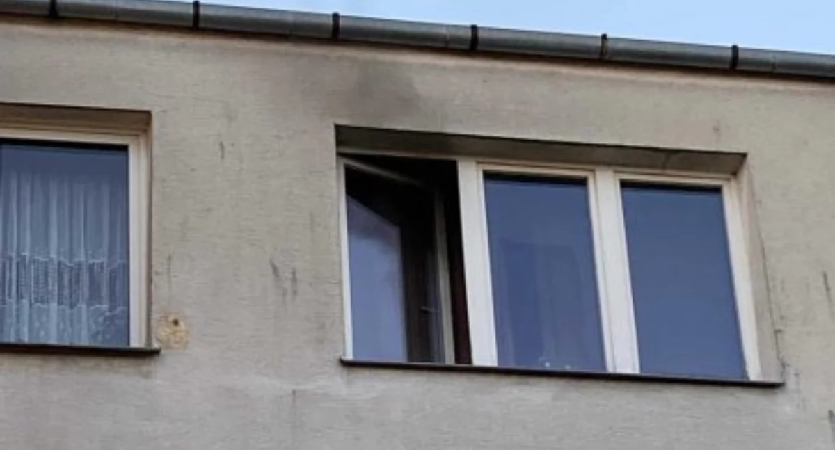 fot. Straż Miejska w Ciechanowie