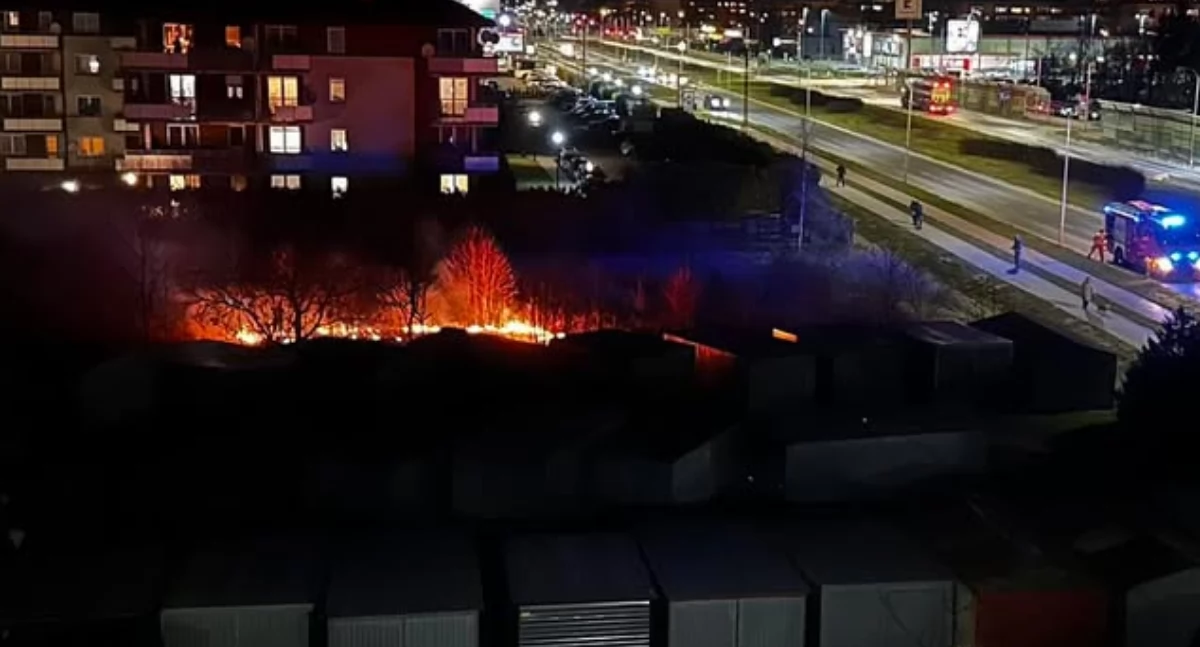 fot. Czytelnik portalu/CiechanówInaczej.pl