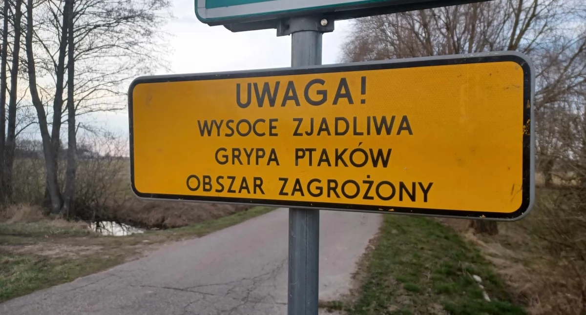 fot. CiechanówInaczej.pl