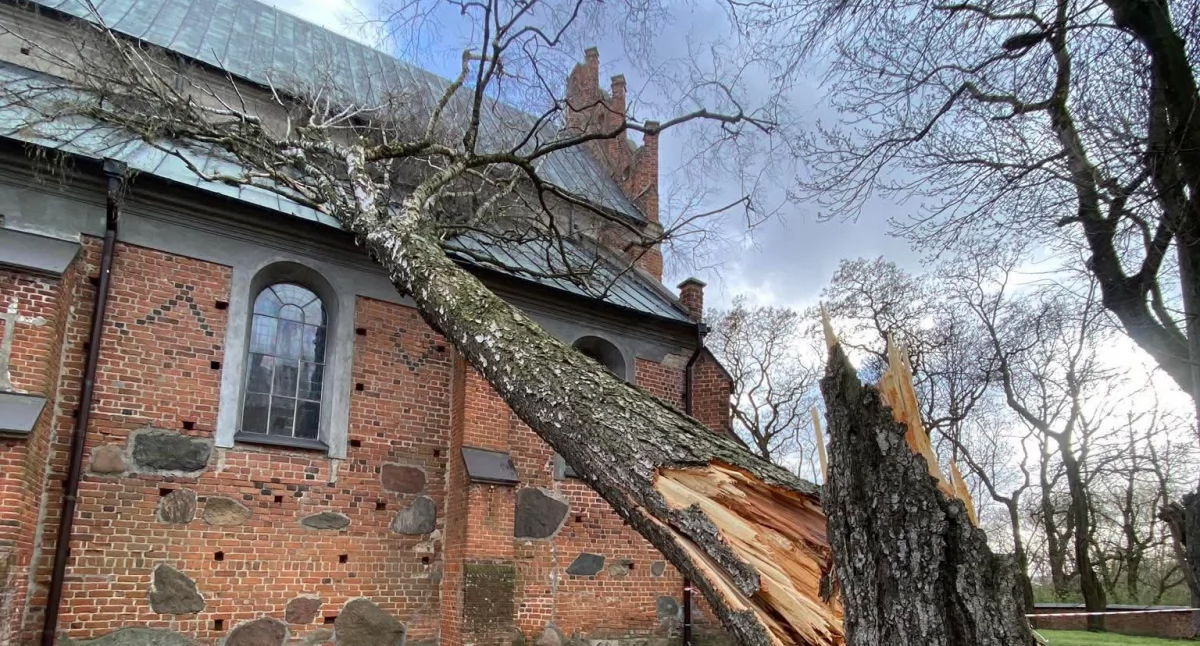 fot. OSP Rydzewo/OSP Sońsk/OSP Kołaczków/OSP Ościsłowo/czytelnik portalu
