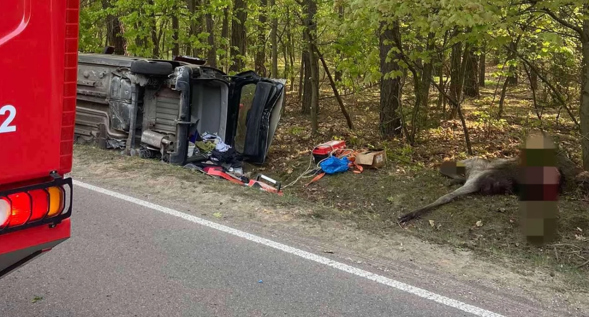 fot. OSP Młock/KPP Ciechanów