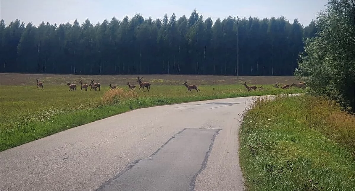 fot. Mazowiecka Policja