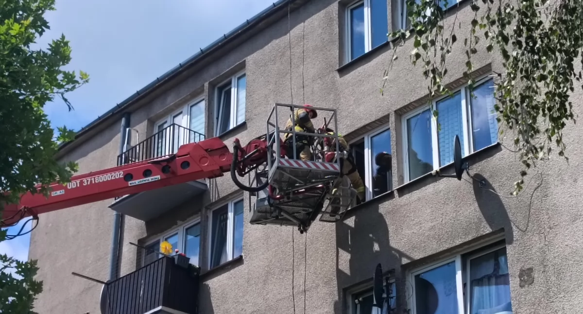 fot. Czytelnik portalu/CiechanówInaczej.pl