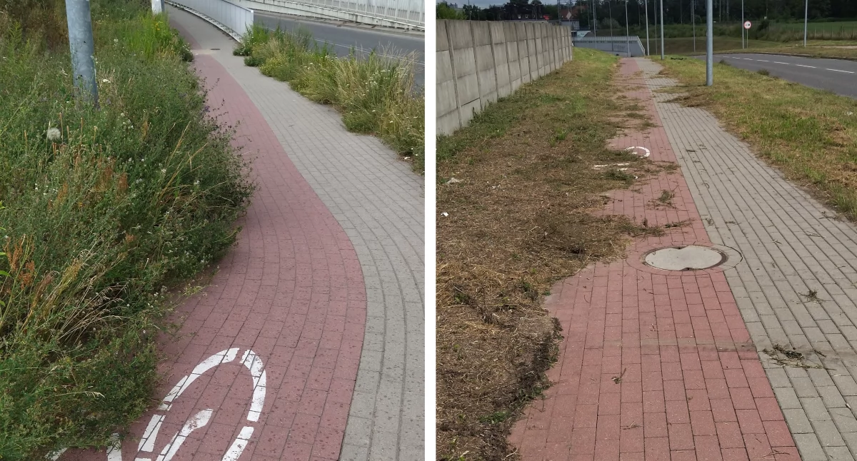 fot. Czytelnik portalu/CiechanówInaczej.pl
