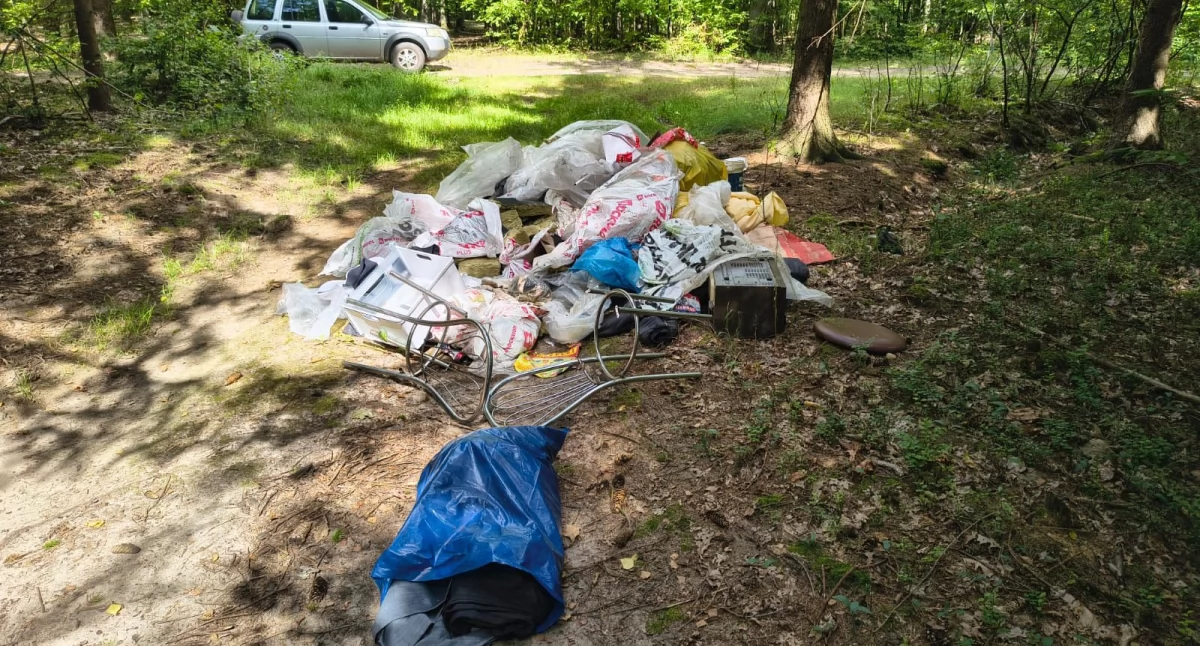 fot. Nadleśnictwo Ciechanów