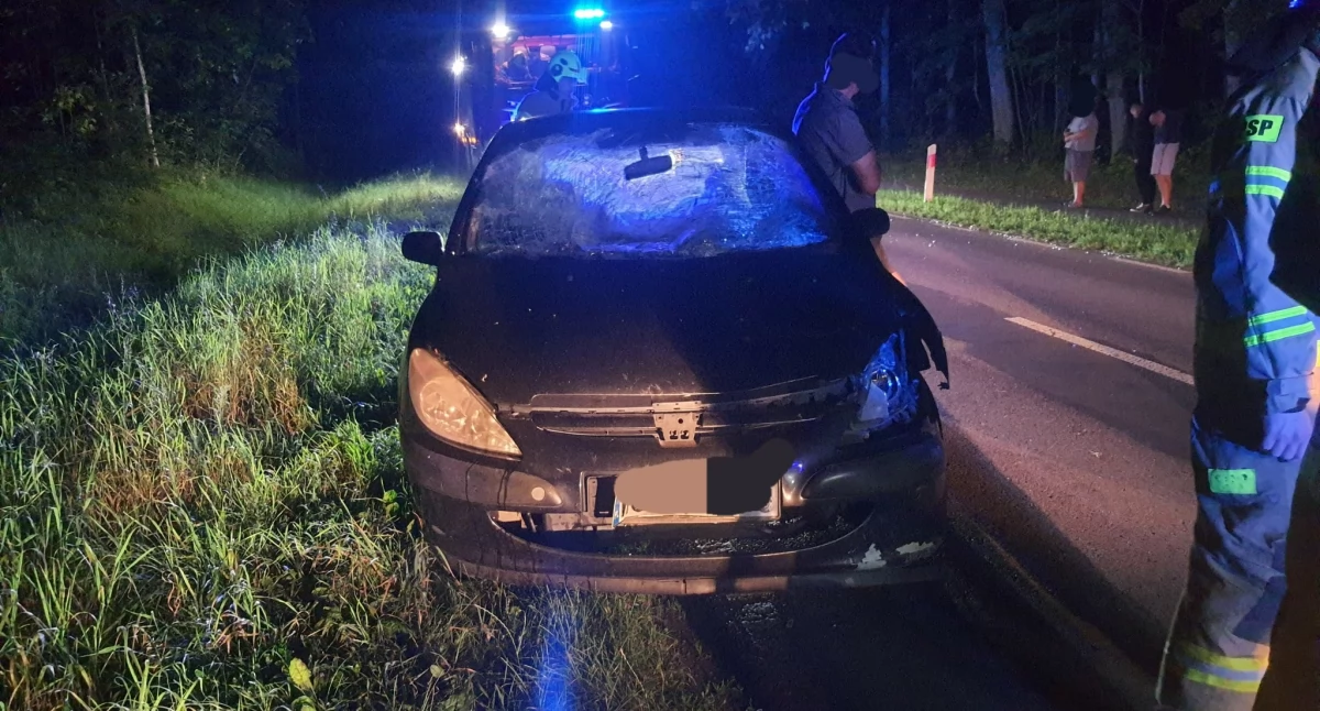 Niebezpiecznie na drodze Ciechanów-Sońsk. Auto uderzyło w łosia [zdjęcia]