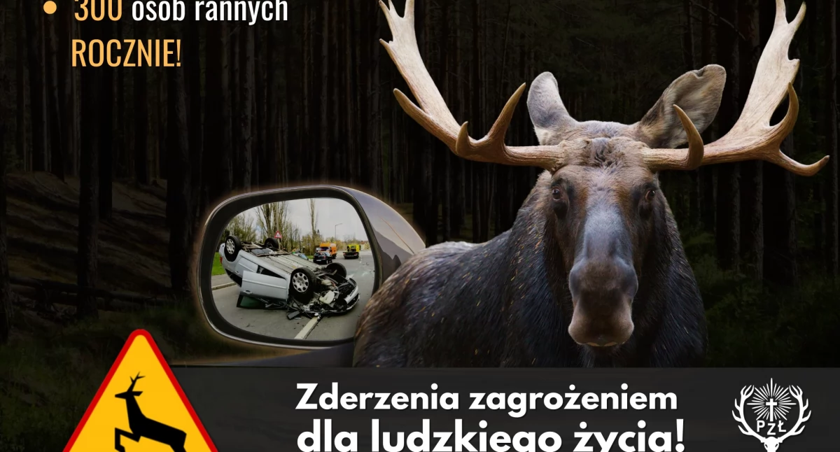 fot. PZŁ Ciechanów
