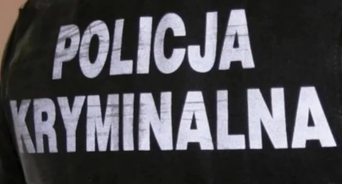 Kradzieże i włamania, Ukradł samochodów Mieszkaniec powiatu ciechanowskiego rękach policji - zdjęcie, fotografia