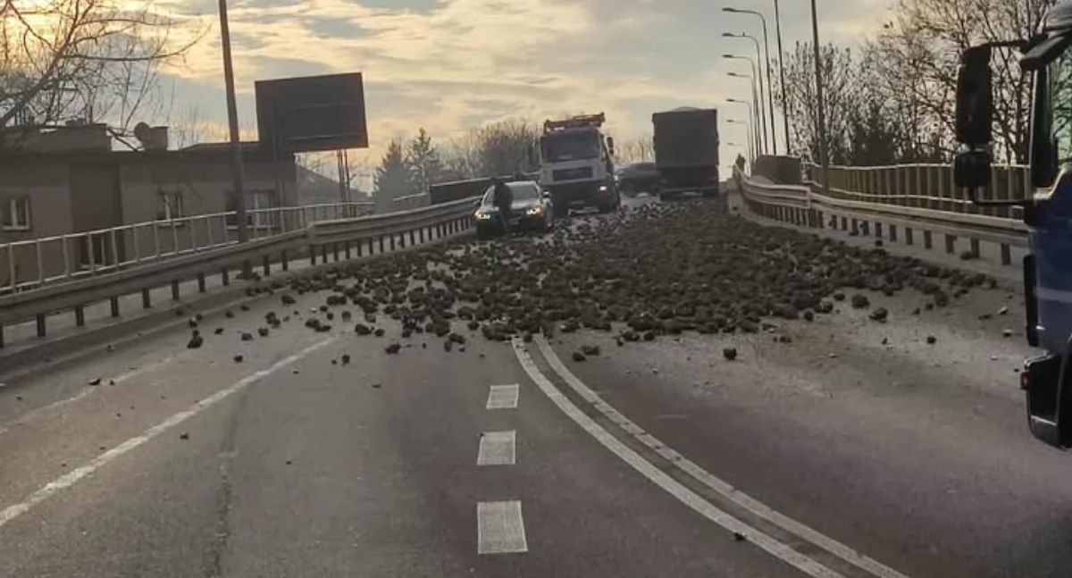 fot. Czytelnik portalu/CiechanówInaczej.pl