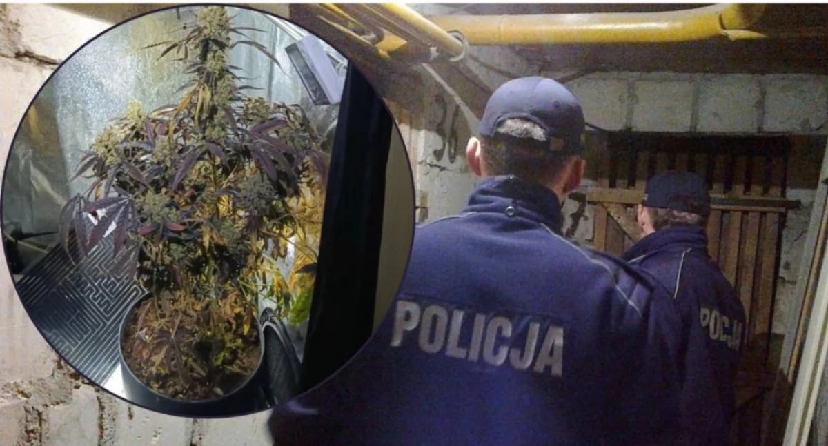 fot. KPP Ciechanów