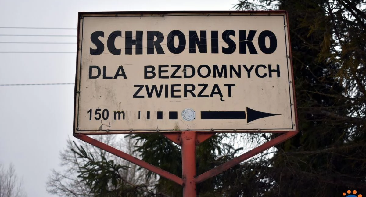 fot. CiechanówInaczej.pl