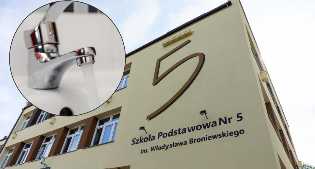 fot. Urząd Miasta Ciechanów/pixabay