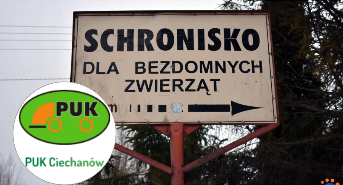 fot. CiechanówInaczej.pl
