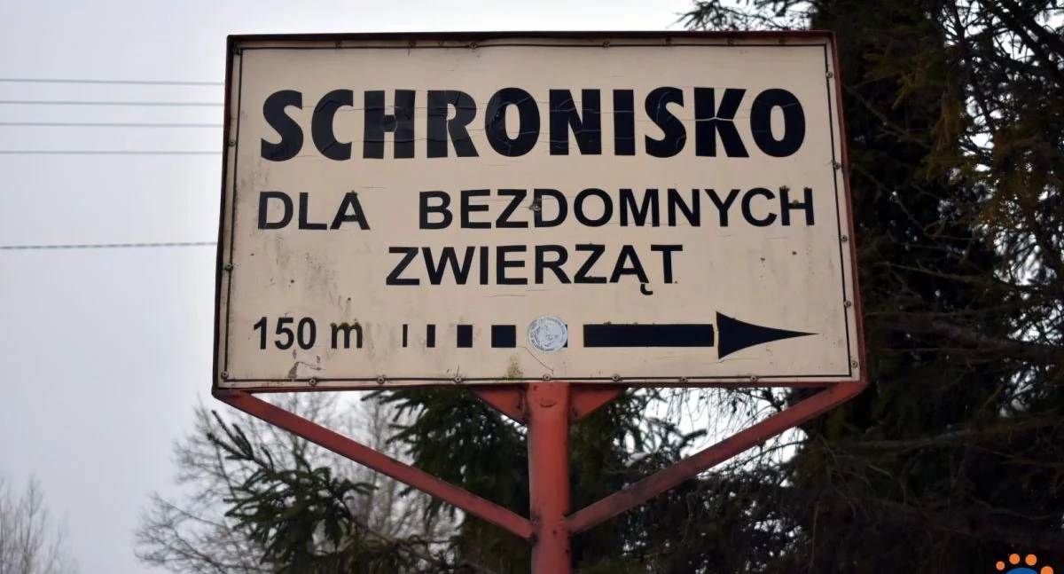 fot. CiechanówInaczej.pl