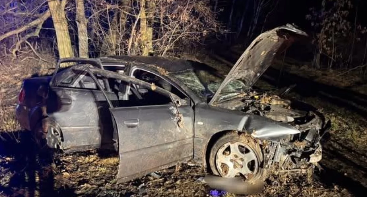 fot. OSP Kraszewo/Policja Płońsk