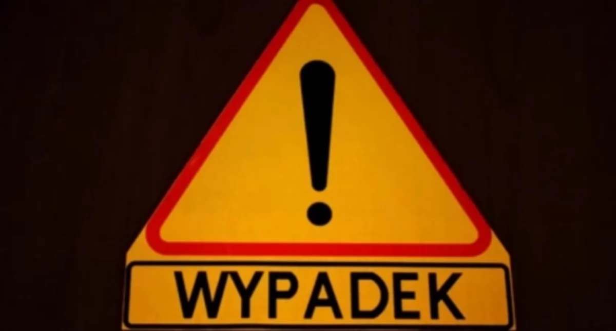 Wypadki drogowe, Niebezpieczne zdarzenie drogowe rozbite martwe zwierzę - zdjęcie, fotografia