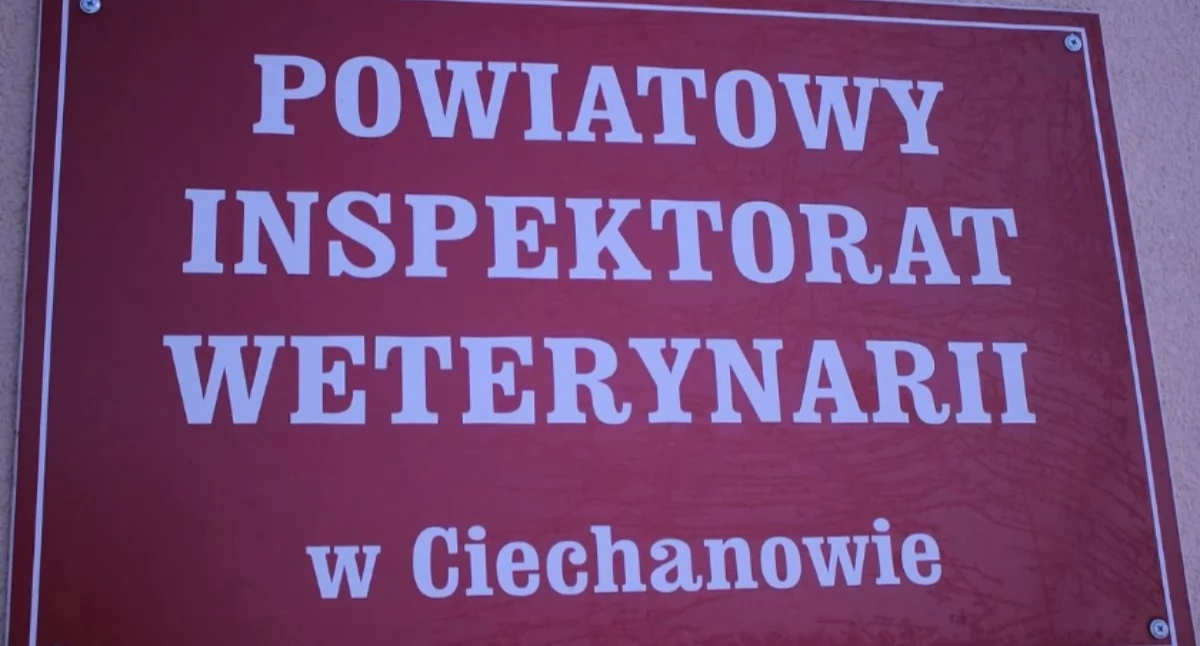 Komunikaty, Ważny komunikat Powiatowego Inspektora Weterynarii Ciechanowie - zdjęcie, fotografia