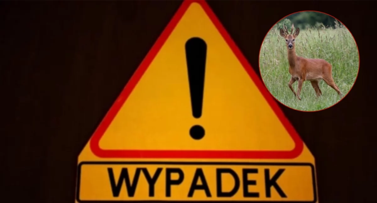 fot. CiechanówInaczej.pl/KPP Płońsk