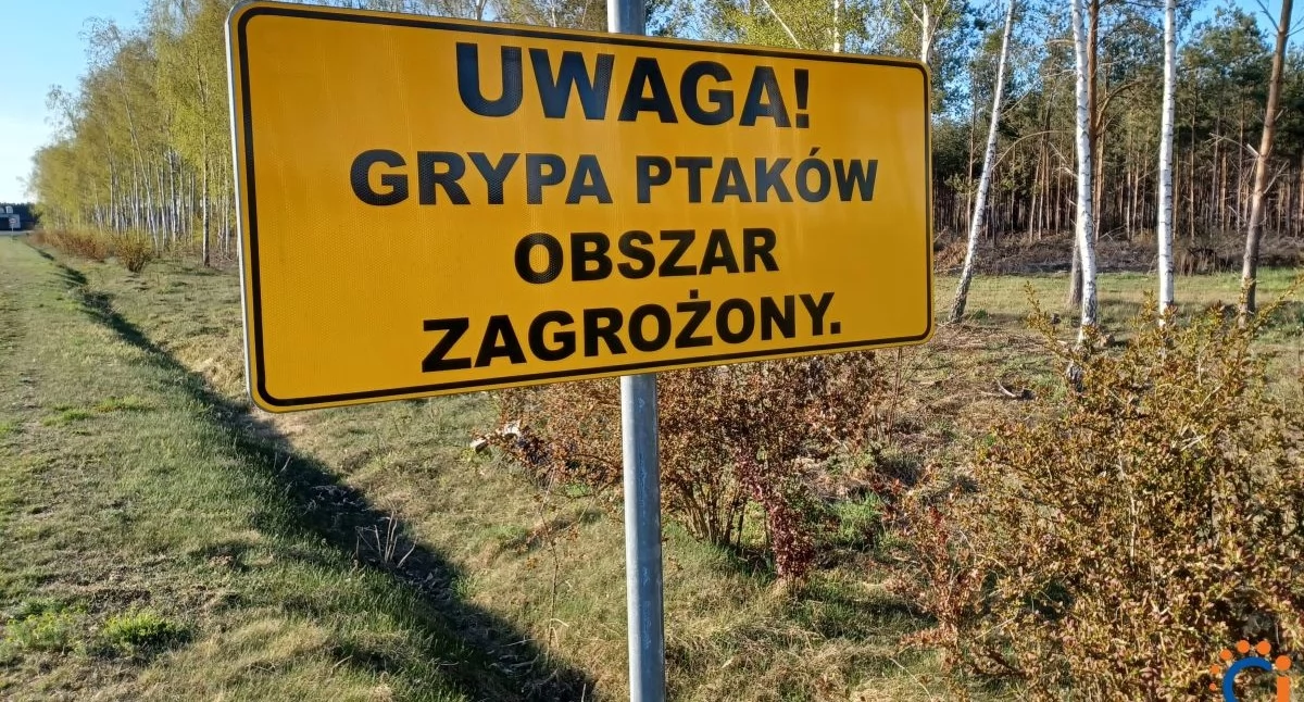 fot. CiechanówInaczej.pl