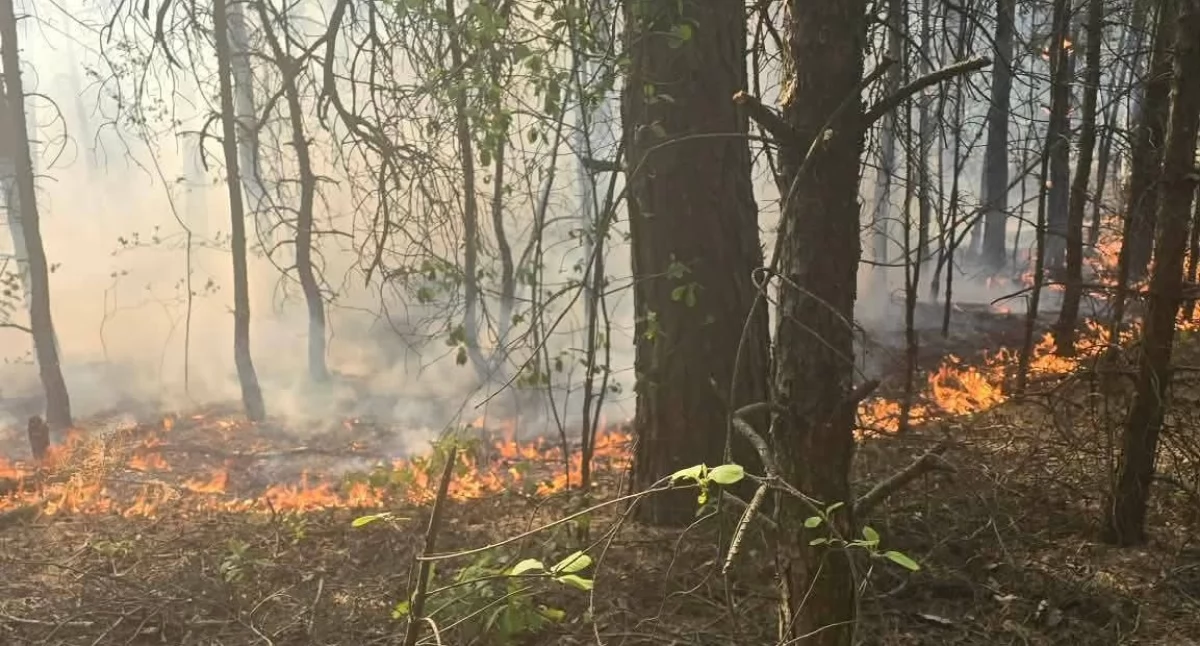 fot. OSP Pawłowo