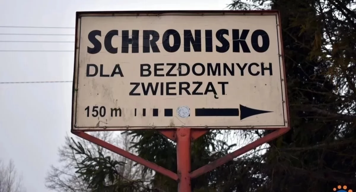 fot. CiechanówInaczej.pl