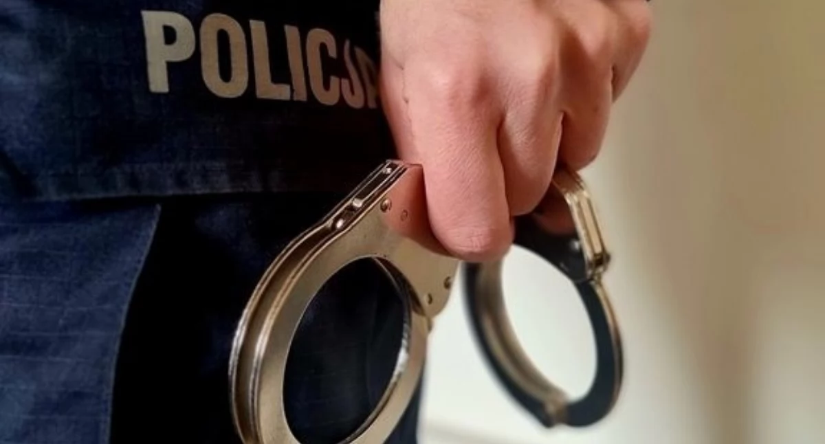 zdjęcie ilustracyjne - archiwum policja.gov.pl