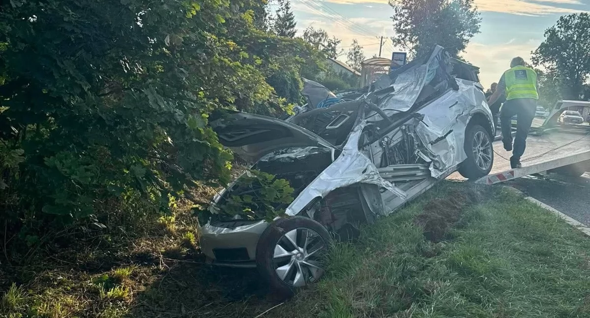 fot. KPP Ciechanów/OSP Nasierowo Górne