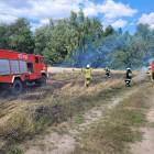 Fotka nr 2 z 11