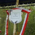 zdjęcie nr 12