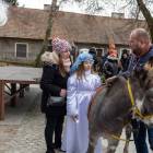 zdjęcie nr 17