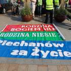Fotka nr 1 z 117