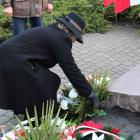 zdjęcie nr 33