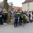 zdjęcie nr 31