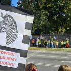 zdjęcie nr 11