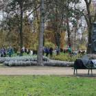 zdjęcie nr 15